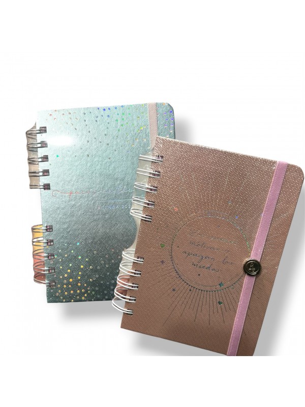 AGENDA 2027 12x17 DIARIA PREMIUM CON ESPIRAL - RY