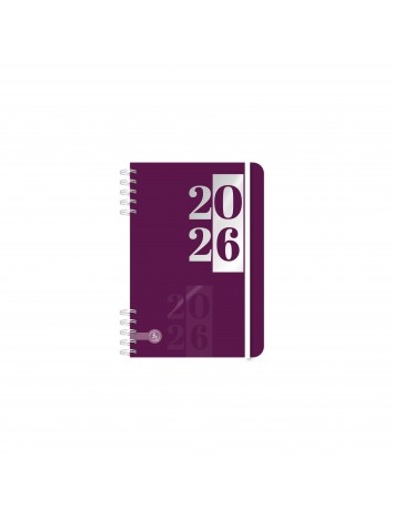 AGENDA 2026 12x17 DIARIA UOMO CON ESPIRAL - RY