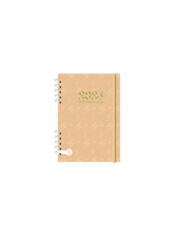 AGENDA RY 12x17 PREMIUM DIARIA  2024