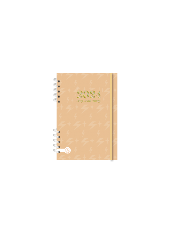 AGENDA RY 12x17 PREMIUM DIARIA  2024