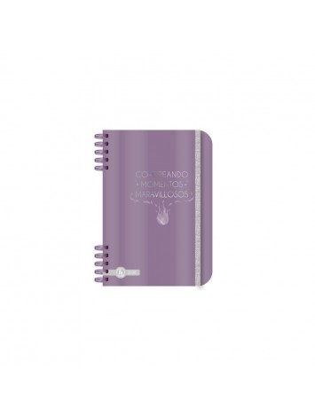 AGENDA 2026 12x17 DIARIA PREMIUM CON ESPIRAL - RY