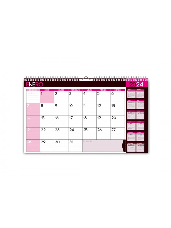 PLANNER ANILLADO 35x22CM 2024