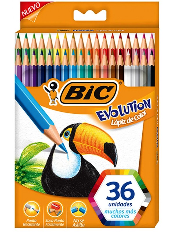 LAPICES DE COLORES BIC EVOLUTION COLORIN x 36 LARGOS