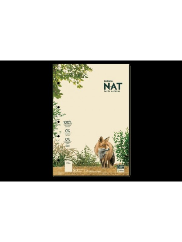 BLOCK A4 NAT x80 LISO