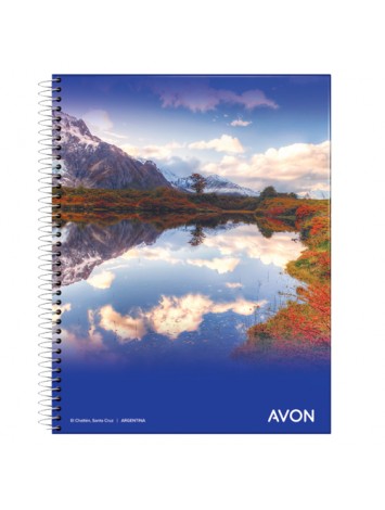 CUADERNO UNIVERSITARIO 29,7 AVON  x80 HOJAS CUADRICULADO