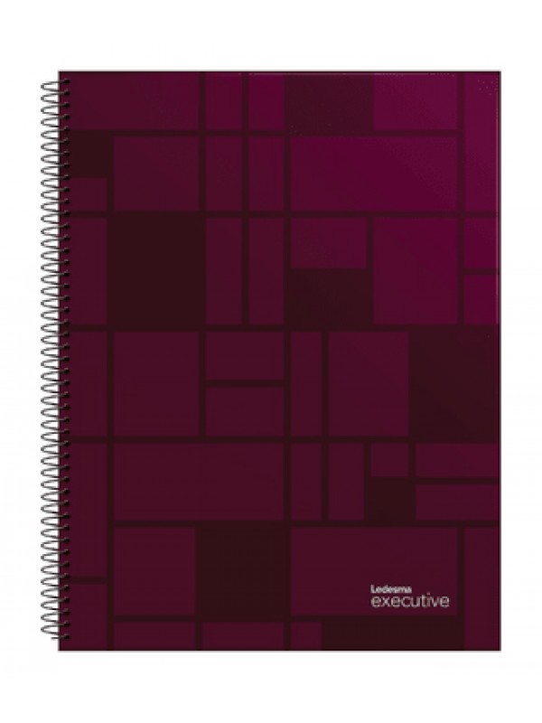 CUADERNO UNIVERSITARIO 29,7 EXECUTIVE x80 HOJAS RAYADO