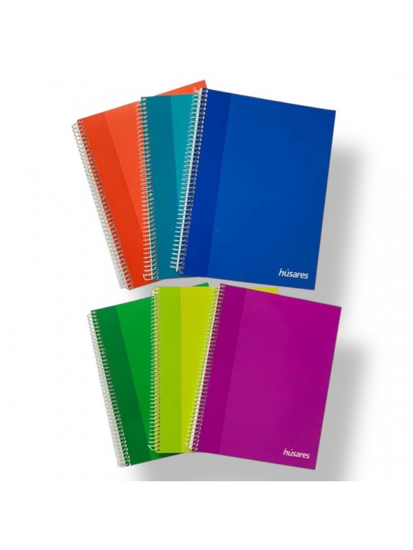 CUADERNO 29,7 UNIVERSITARIO HUSARES x80 RAYADO