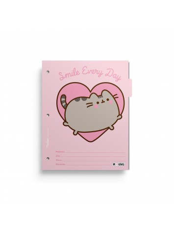 x6 SEPARADOR N°3 PUSHEEN MOOVING