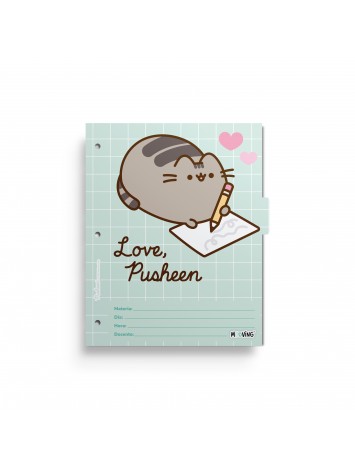 x6 SEPARADOR N°3 PUSHEEN MOOVING