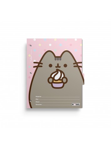 x6 SEPARADOR N°3 PUSHEEN MOOVING