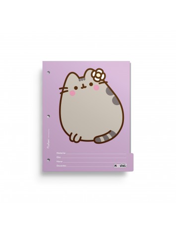 x6 SEPARADOR N°3 PUSHEEN MOOVING