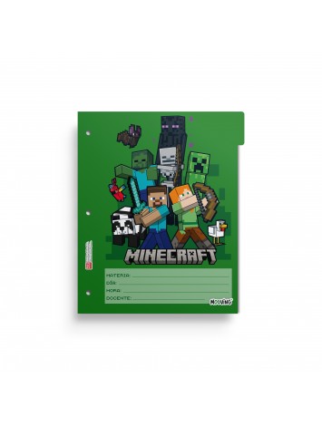 x6 SEPARADOR N°3 MINECRAFT MOOVING