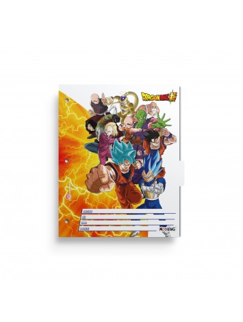x6 SEPARADOR N°3 DRAGON BALL MOOVING