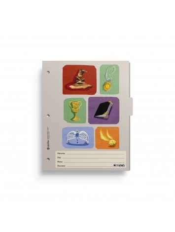 x6 SEPARADOR N°3 MOOVING HARRY POTTER