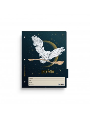 x6 SEPARADOR N°3 MOOVING HARRY POTTER