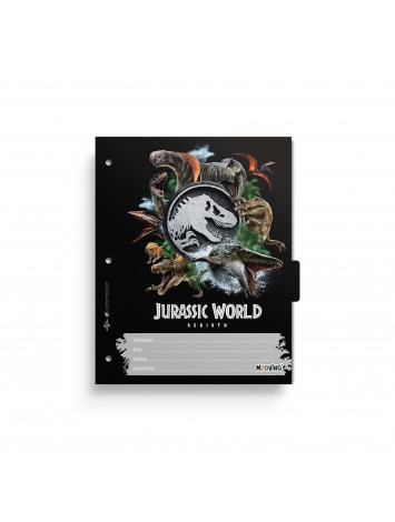 x6 SEPARADOR N°3 PLAY STATION MOOVING