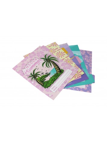 x6 SEPARADOR N°3 REXON BORN TO SHINE