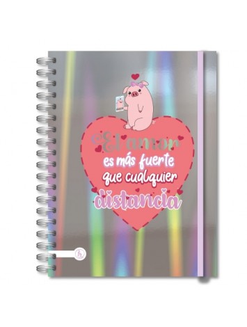 CUADERNO 15x21 CON ESPIRAL RY HOLOGRAFICO SURTIDO RY