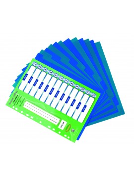 SEPARADOR 12 POSICIONES PLASTICO A4
