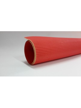 x10 CARTON MICROCORRUGADO 50x70 ROJO