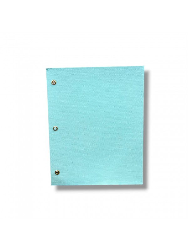 CARPETA CON CORDON N°3 TELADA VERDE PASTEL