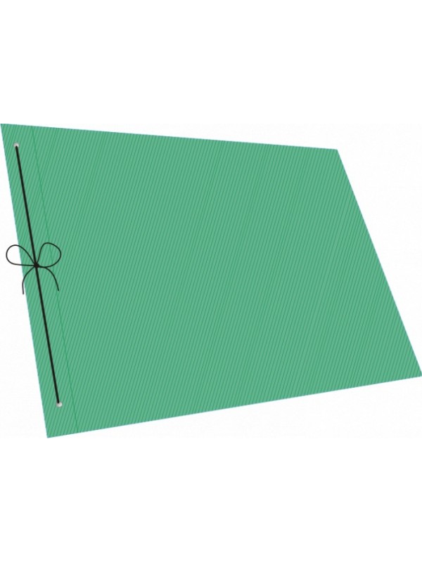 CARPETA CON CORDON N°5 TELADA VERDE